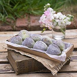 《饥荒联机版》2023年更新路线图 有很多新内容